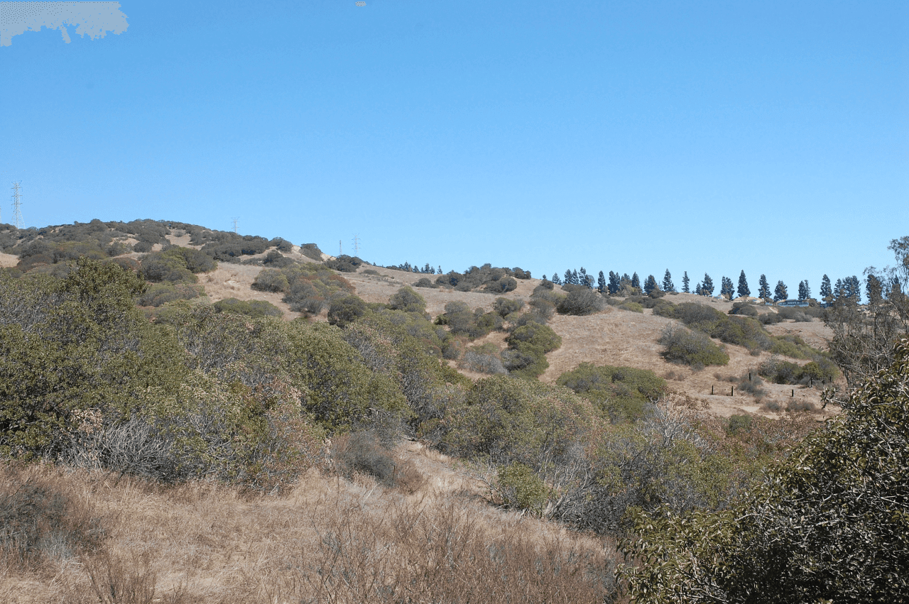 LAND ASSEMBLIES & ENTITLEMENTS